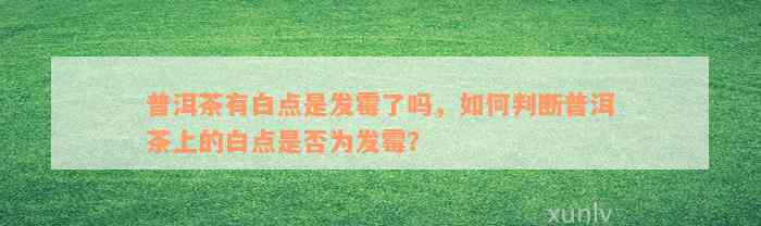 普洱茶有白点是发霉了吗，如何判断普洱茶上的白点是否为发霉？