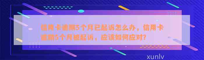 信用卡逾期5个月已起诉怎么办，信用卡逾期5个月被起诉，应该如何应对？