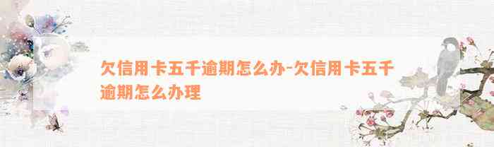 欠信用卡五千逾期怎么办-欠信用卡五千逾期怎么办理