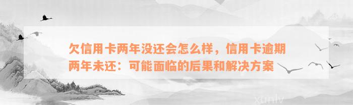 欠信用卡两年没还会怎么样，信用卡逾期两年未还：可能面临的后果和解决方案