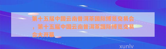 第十五届中国云南普洱茶国际博览交易会，第十五届中国云南普洱茶国际博览交易会大开幕