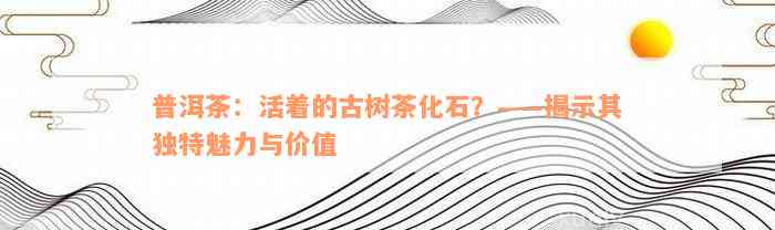 普洱茶：活着的古树茶化石？——揭示其独特魅力与价值