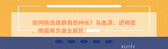 如何挑选貔貅翡翠种水？从色泽、透明度、瑕疵等方面全解析！