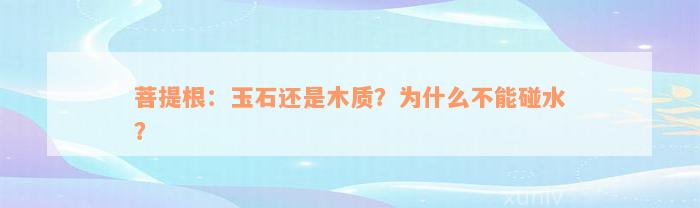 菩提根：玉石还是木质？为什么不能碰水？