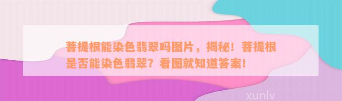 菩提根能染色翡翠吗图片，揭秘！菩提根是否能染色翡翠？看图就知道答案！