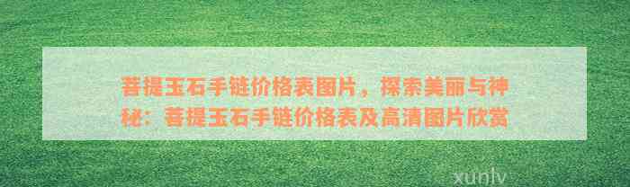 菩提玉石手链价格表图片，探索美丽与神秘：菩提玉石手链价格表及高清图片欣赏