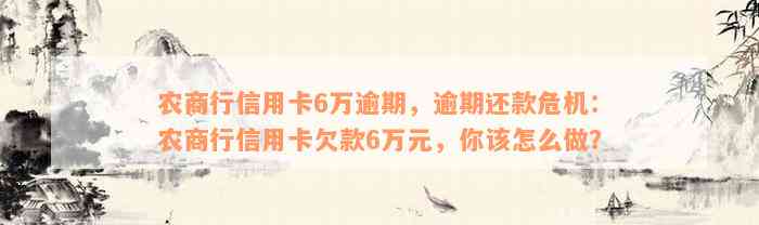 农商行信用卡6万逾期，逾期还款危机：农商行信用卡欠款6万元，你该怎么做？