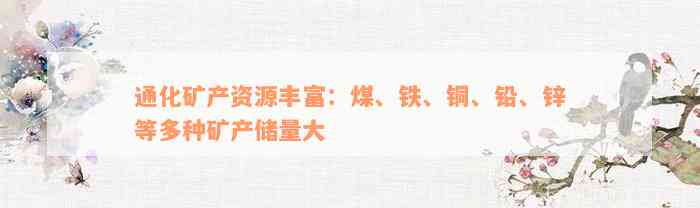 通化矿产资源丰富：煤、铁、铜、铅、锌等多种矿产储量大