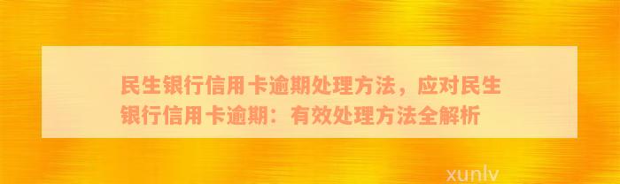 民生银行信用卡逾期处理方法，应对民生银行信用卡逾期：有效处理方法全解析