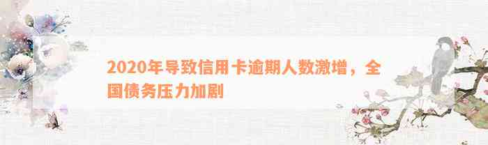 2020年导致信用卡逾期人数激增，全国债务压力加剧