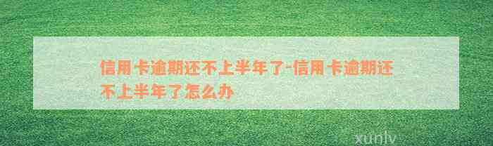 信用卡逾期还不上半年了-信用卡逾期还不上半年了怎么办