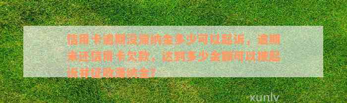 信用卡逾期没滞纳金多少可以起诉，逾期未还信用卡欠款，达到多少金额可以被起诉并征收滞纳金？