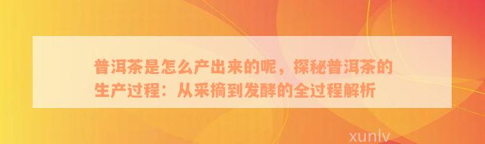 普洱茶是怎么产出来的呢，探秘普洱茶的生产过程：从采摘到发酵的全过程解析