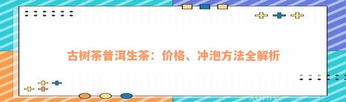 古树茶普洱生茶：价格、冲泡方法全解析