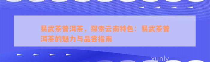 易武茶普洱茶，探索云南特色：易武茶普洱茶的魅力与品尝指南