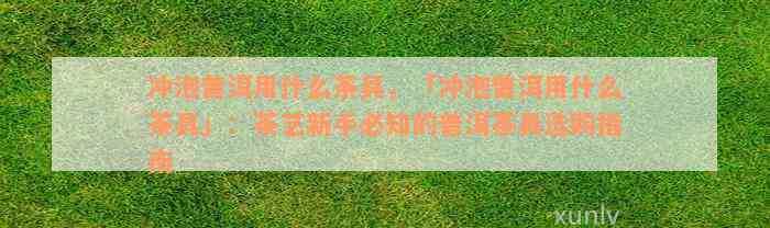 冲泡普洱用什么茶具，「冲泡普洱用什么茶具」：茶艺新手必知的普洱茶具选购指南