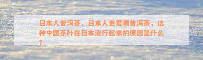 日本人普洱茶，日本人也爱喝普洱茶，这种中国茶叶在日本流行起来的原因是什么？