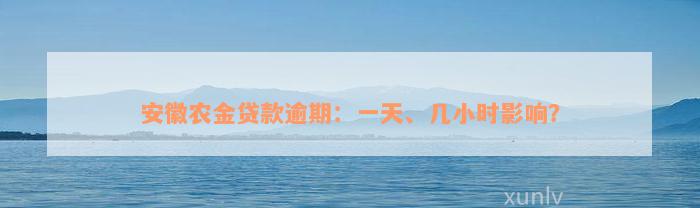 安徽农金贷款逾期：一天、几小时影响？