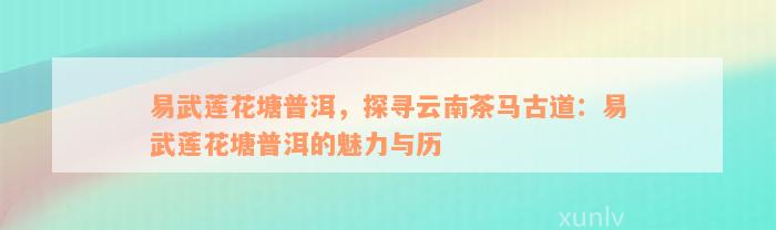 易武莲花塘普洱，探寻云南茶马古道：易武莲花塘普洱的魅力与历