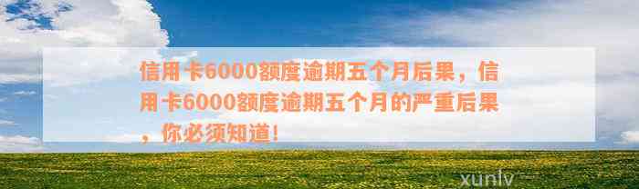 信用卡6000额度逾期五个月后果，信用卡6000额度逾期五个月的严重后果，你必须知道！