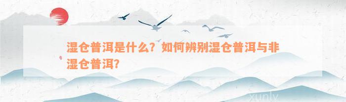 湿仓普洱是什么？如何辨别湿仓普洱与非湿仓普洱？