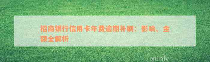 招商银行信用卡年费逾期补刷：影响、金额全解析