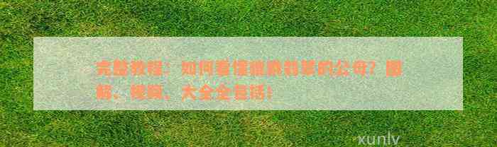 完整教程：如何看懂貔貅翡翠的公母？图解、视频、大全全包括！