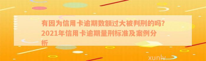 有因为信用卡逾期数额过大被判刑的吗？2021年信用卡逾期量刑标准及案例分析