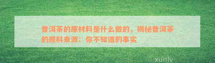 普洱茶的原材料是什么做的，揭秘普洱茶的原料来源：你不知道的事实