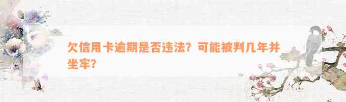 欠信用卡逾期是否违法？可能被判几年并坐牢？