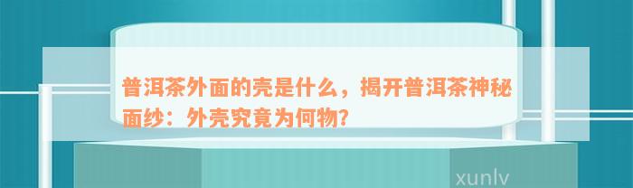 普洱茶外面的壳是什么，揭开普洱茶神秘面纱：外壳究竟为何物？