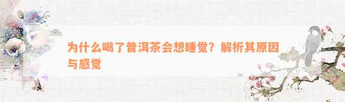 为什么喝了普洱茶会想睡觉？解析其原因与感觉