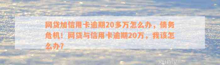 网贷加信用卡逾期20多万怎么办，债务危机！网贷与信用卡逾期20万，我该怎么办？