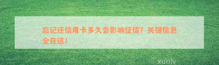 忘记还信用卡多久会影响征信？关键信息全在这！