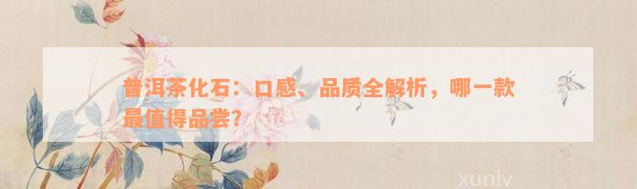 普洱茶化石：口感、品质全解析，哪一款最值得品尝？