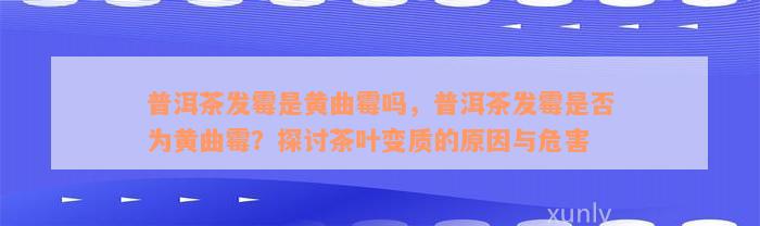 普洱茶发霉是黄曲霉吗，普洱茶发霉是否为黄曲霉？探讨茶叶变质的原因与危害