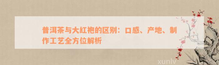 普洱茶与大红袍的区别：口感、产地、制作工艺全方位解析