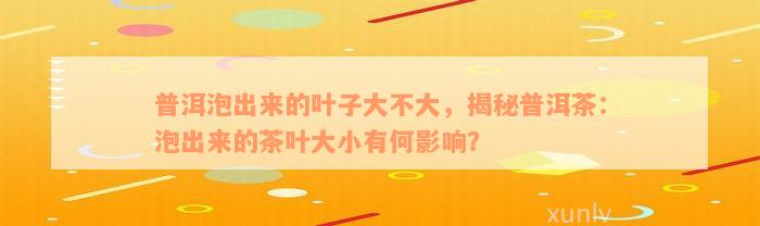 普洱泡出来的叶子大不大，揭秘普洱茶：泡出来的茶叶大小有何影响？