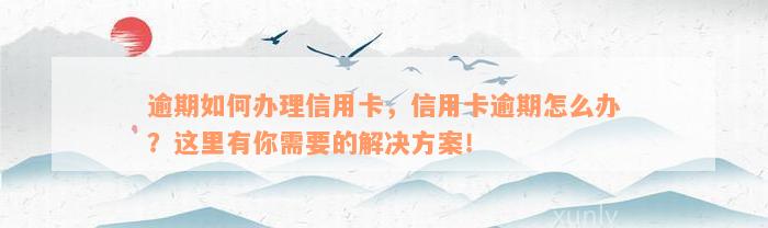 逾期如何办理信用卡，信用卡逾期怎么办？这里有你需要的解决方案！