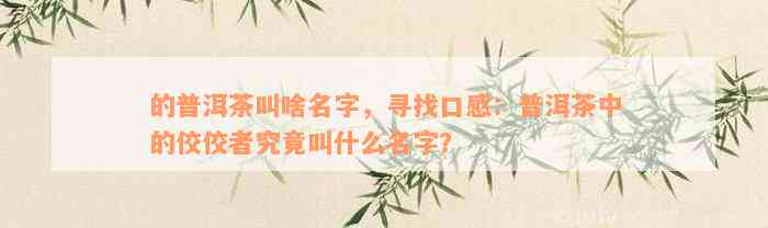 的普洱茶叫啥名字，寻找口感：普洱茶中的佼佼者究竟叫什么名字？