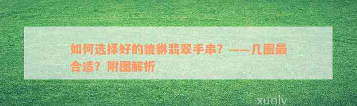 如何选择好的貔貅翡翠手串？——几圈最合适？附图解析