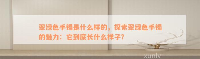 翠绿色手镯是什么样的，探索翠绿色手镯的魅力：它到底长什么样子？