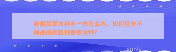 貔貅翡翠冰种不一样怎么办，如何区分不同品质的貔貅翡翠冰种？