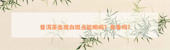 普洱茶出现白斑点能喝吗？有毒吗？