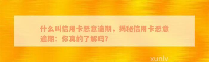 什么叫信用卡恶意逾期，揭秘信用卡恶意逾期：你真的了解吗？