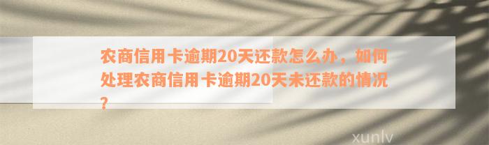 农商信用卡逾期20天还款怎么办，如何处理农商信用卡逾期20天未还款的情况？