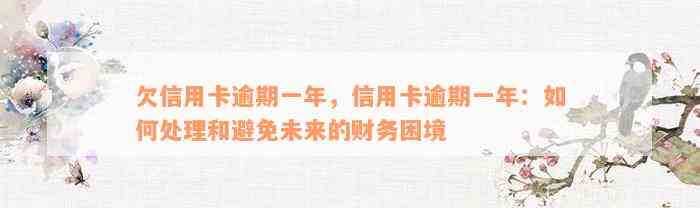 欠信用卡逾期一年，信用卡逾期一年：如何处理和避免未来的财务困境