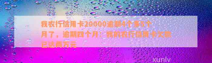 我农行信用卡20000逾期4个多5个月了，逾期四个月：我的农行信用卡欠款已达两万元