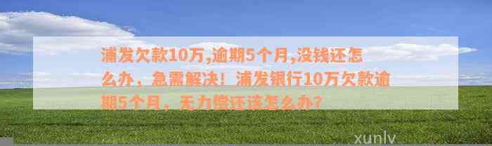 浦发欠款10万,逾期5个月,没钱还怎么办，急需解决！浦发银行10万欠款逾期5个月，无力偿还该怎么办？