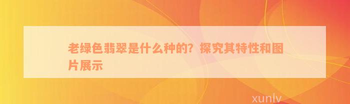 老绿色翡翠是什么种的？探究其特性和图片展示